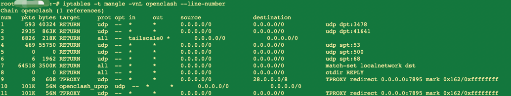 /images/tailscale-openclash/2.png
